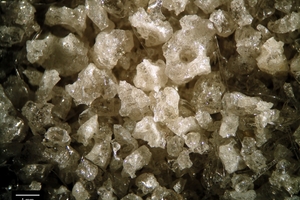 2 Several exemplary GBS, No. 3 (left), No. 13b (middle) and No. 14 (right)