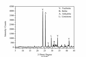 2 XRD patterns of SAC and NS