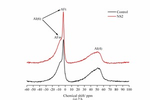 8 27Al NMR spectra of SAC pastes at 2 h and 28 d