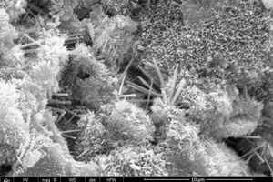 10 SEM images of the hydration products of pastesa) Control-3 db) SA2NS2-3 dc) Control-28 dd) SA2NS2-28 d