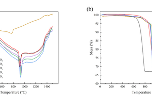 1 The DTA and TG curves of the raw material under different calcination atmospheres(a) The DTA curves; (b) The TG curves