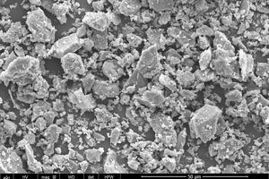 3 SEM images of cement and LQFA and TEM image of NS(a) SEM image of cement