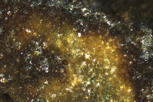 Brown colored clinker domain (microscopy view)