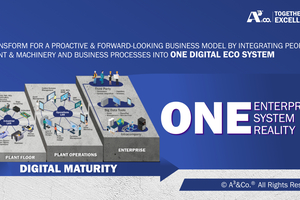 2 A³&Co.’s Digital Maturity Model