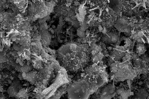 Bildtext Bitatemp ernati con eium quis et mosam et, quodis et moluptatem eum, inventes arum voluptatur, qui