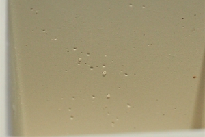 6 Inside of the porcelain cup blank with clear surface damage caused during the utilisation cycle of the gypsum mould
