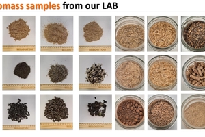 4 Examples of different biomasses treated in Cimprogetti’s Technological LAB