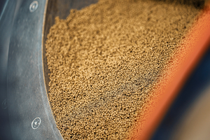 4 Limestone pellets with ideal grain size distribution