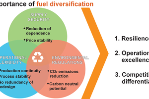 2 Importance of fuel diversification