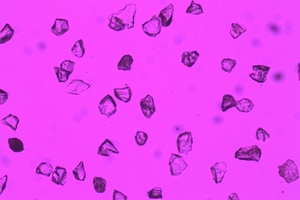 6 Ground water-granulated slags in the transmitted light microscope (fraction 40/63 µm) (a) Test 0 (0 % slag from DRI)(b) Test 3 (70 % slag from DRI)(c) Granulated blast furnace slag