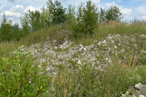 3 Although former quarries make an important contribution to nature and species conservation, extraction projects often lead to conflicts due to a lack of public acceptance of raw material extraction
